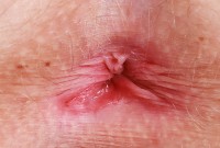 ATK hairy Kallie Taylor Set