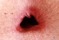 ATK hairy Kallie Taylor Set