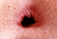 ATK hairy Kallie Taylor Set
