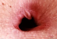 ATK hairy Kallie Taylor Set