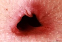 ATK hairy Kallie Taylor Set