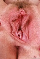 ATK hairy Kallie Taylor Set