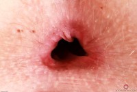 ATK hairy Kallie Taylor Set