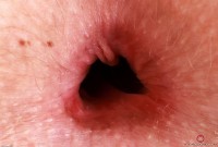 ATK hairy Kallie Taylor Set