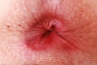 ATK hairy Kallie Taylor in young and hairy