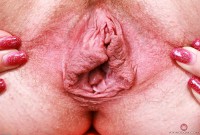 ATK hairy Kallie Taylor Set