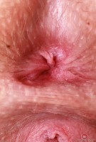 ATK hairy Kallie Taylor Set