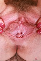 ATK hairy Kallie Taylor Set