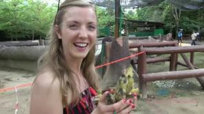 ATK Aunt Judys  in Virtual vacation