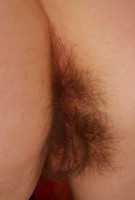 ATK hairy Karina P. Set