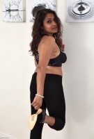 ATK hairy Kashmir Set