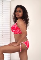 ATK hairy Kashmir Set