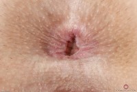 ATK hairy Kasey Warner Set