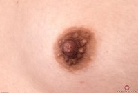 ATK hairy Kasey Warner Set