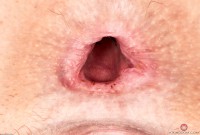 ATK hairy Kasey Warner Set