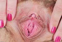 ATK hairy Katie Set