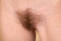 ATK hairy  in scary hairy