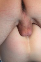 ATK hairy  in action