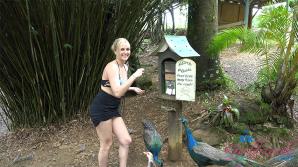 ATK Aunt Judys  in Virtual vacation