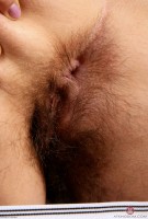 ATK hairy Katie Zucchini Set