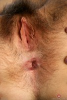 ATK hairy Katie Zucchini Set