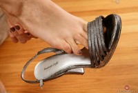 ATK hairy Katie Zucchini Set