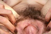 ATK hairy  in scary hairy