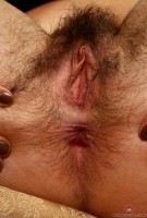 ATK hairy Katie Zucchini Set