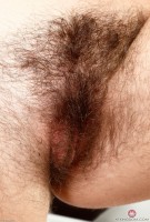 ATK hairy Katie Zucchini Set