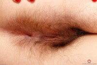 ATK hairy Katie Zucchini in mature and hairy