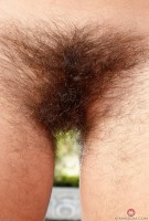 ATK hairy Katie Zucchini Set