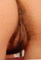 ATK hairy Kelly Set