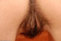 ATK hairy Kelly Set