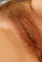 ATK hairy Kelli Set