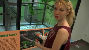 ATK Aunt Judys  in Virtual vacation