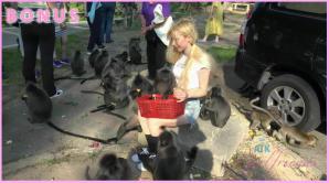 ATK Aunt Judys  in Virtual vacation