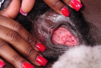 ATK hairy Kiana Love Set