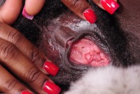 ATK hairy Kiana Love Set