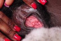 ATK hairy Kiana Love in exotic and hairy