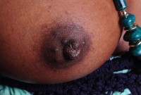 ATK hairy Kiana Love Set