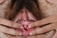 ATK hairy Wara Set