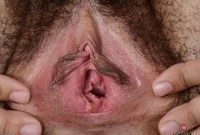 ATK hairy Wara Set