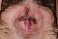 ATK hairy Wara Set
