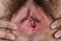ATK hairy Wara Set