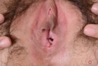 ATK hairy Wara Set