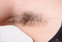 ATK hairy Wara Set
