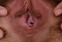 ATK hairy  in scary hairy