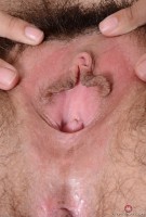 ATK hairy Wara Set