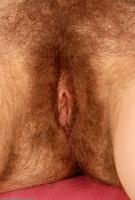 ATK hairy Kitty Set