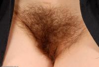 ATK hairy Kitty in scary hairy